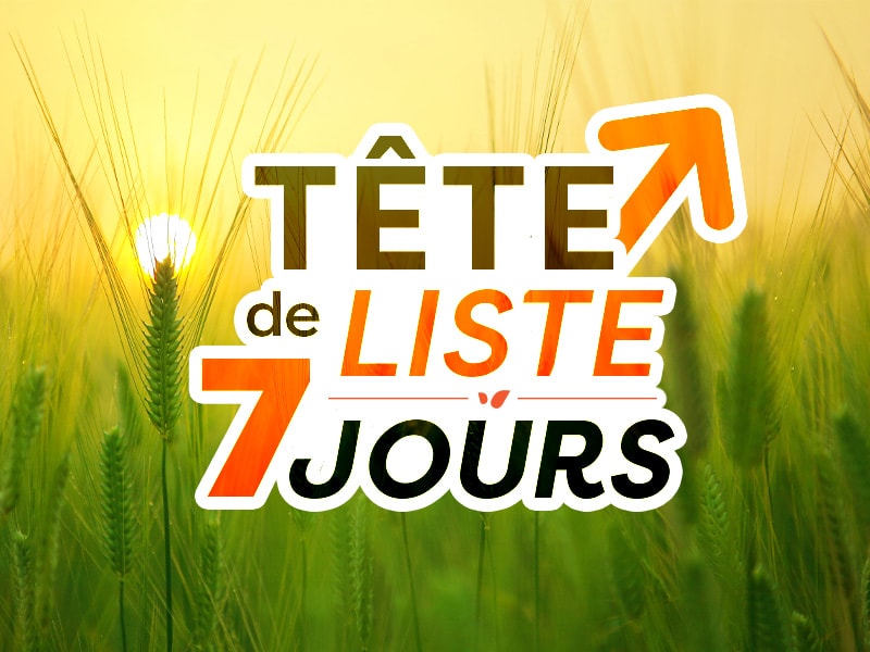 Tête de liste 7 jours